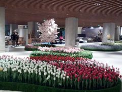 -Dough&Joe团憩(瑞虹天地月亮湾店)