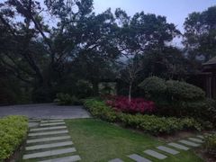 -厦门国家会计学院