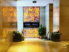 -北京朝阳悠唐皇冠假日酒店