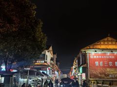 -龙津风雨桥