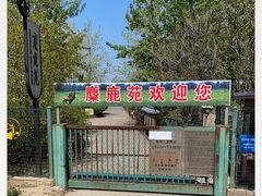 -北京麋鹿生态实验中心