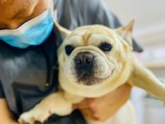 -爱派特动物医院·全科诊疗中心