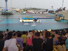 -秦皇岛乐岛海洋王国