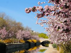 -元大都城垣遗址公园