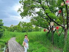 -长田漾湿地公园