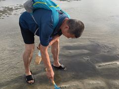 -北海金海湾红树林生态旅游区