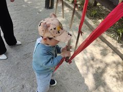 -合肥滨湖国家森林公园