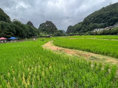 -高荡千年布依古寨旅游景区