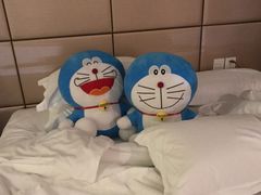 -张家港华芳金陵国际酒店