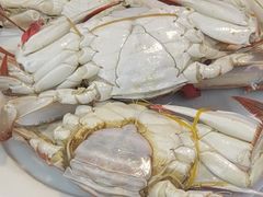 -半岛听涛蒸汽海鲜自助(K11店)