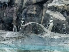 -武汉动物园