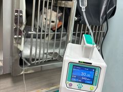 -宠颐生斯嘉宠物医院·急重症·心内科(谷阳北路分院)