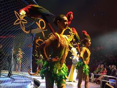 -珠海横琴长隆《卡卡虎奇遇记》