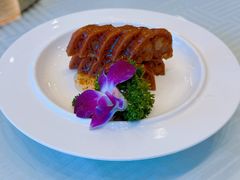 -集贤阁海鲜酒楼(北辰总店)
