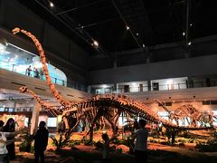 -自贡恐龙博物馆