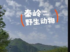 -西安秦岭野生动物园