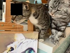 -平行世界·猫咖(首经贸店)