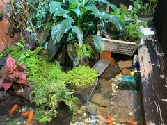 -隐炉和牛烧肉店(群力店)