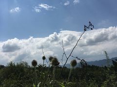 -青峰峡国家森林公园