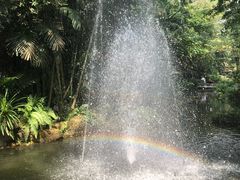 -绿光森林餐厅