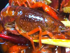 -华仔龙虾(永乐路总店)