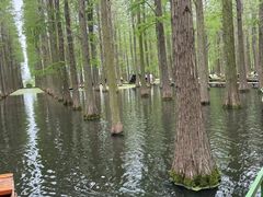 -渌洋湖湿地公园