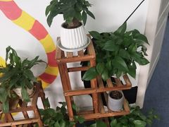 -爱乐蒙艺术·古筝 钢琴 声乐(科华校区)