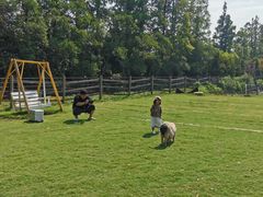 -前小桔亲子创意农场·草莓采摘·露营烧烤