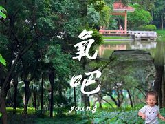 -黄埔荔枝公园