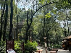-石燕湖生态旅游景区