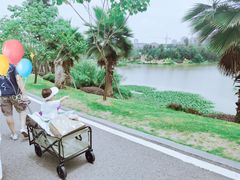 -枫香湖儿童公园