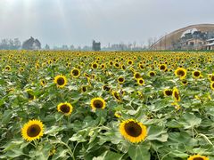 -中国天府农业博览园