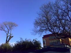 -北京市东城区东四九条小学