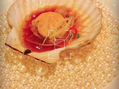 -甄御•海鲜新青岛菜(麦岛店)