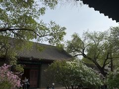 -内蒙古将军衙署博物院