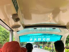 -美的鹭湖探索王国