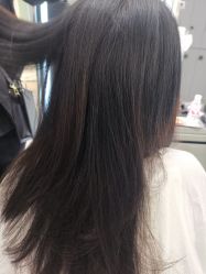 -京世沙龙
