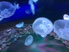 -多彩贵州城极地海洋世界