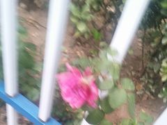 -香园自助小火锅