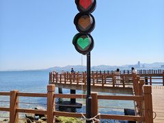 -养马岛旅游度假区