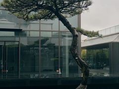 -晓长安·新陕菜(曲江店)