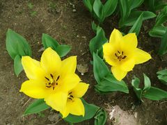 -长春公园(普阳街道)