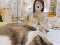 -COLOR PETS 撸猫馆·购猫·猫咖(长风大悦城店)