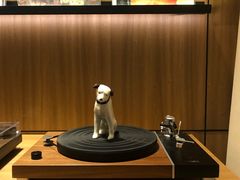 -黑胶星球(华发中城商都店)