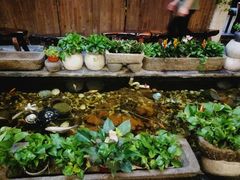 -有梦特色餐厅(古子城店)