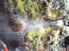 -唐河王记·南阳民间菜(国基路店)