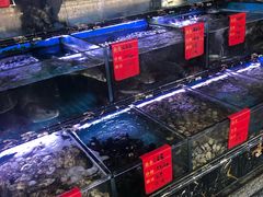水产区-金海湾海鲜排档(朱家尖店)