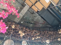 -范设计花园餐酒咖·中西餐·咖啡厅·酒馆