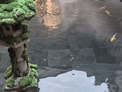 -觀芷隐轩