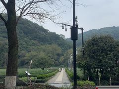 -中国茶叶博物馆(双峰馆区)